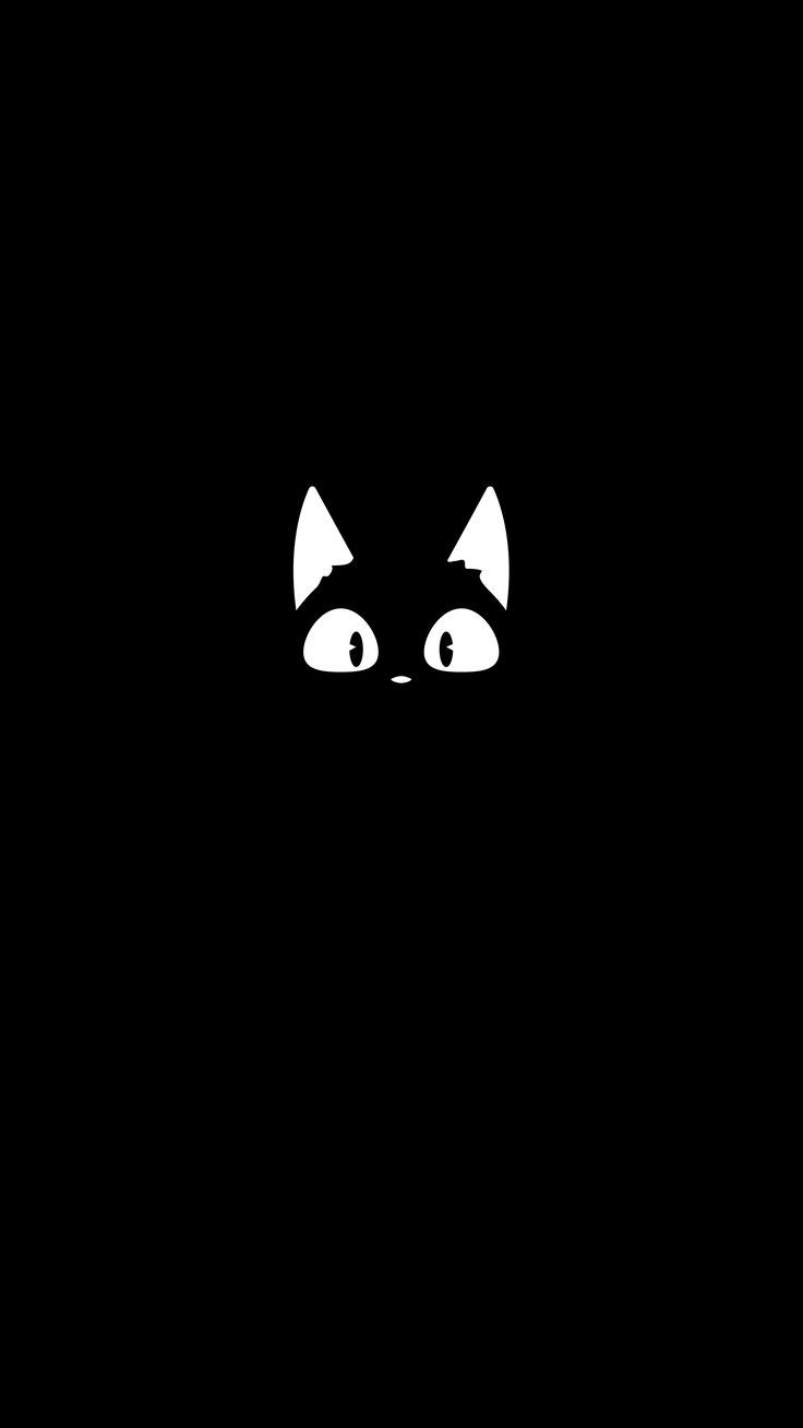 cute cat black background 0013