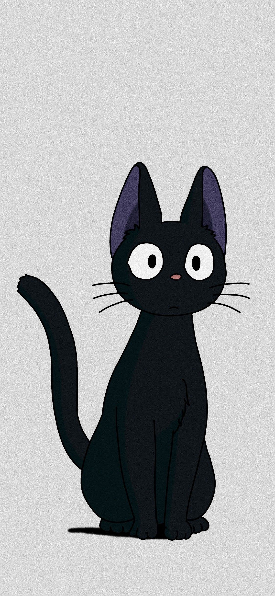 cute cat black background 0023