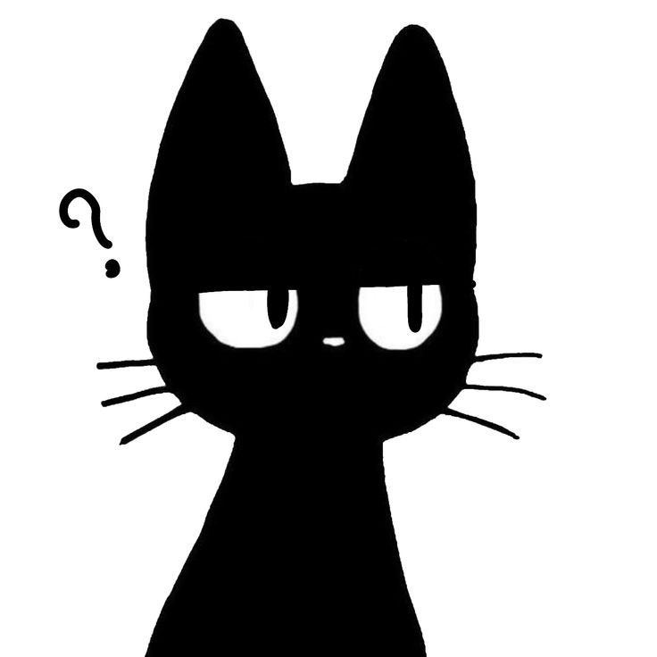 cute cat black background 0024