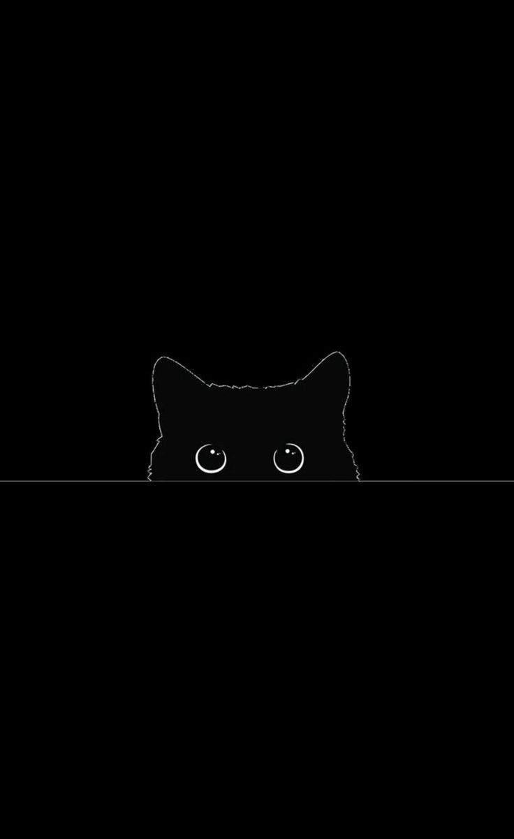 cute cat black background 0029