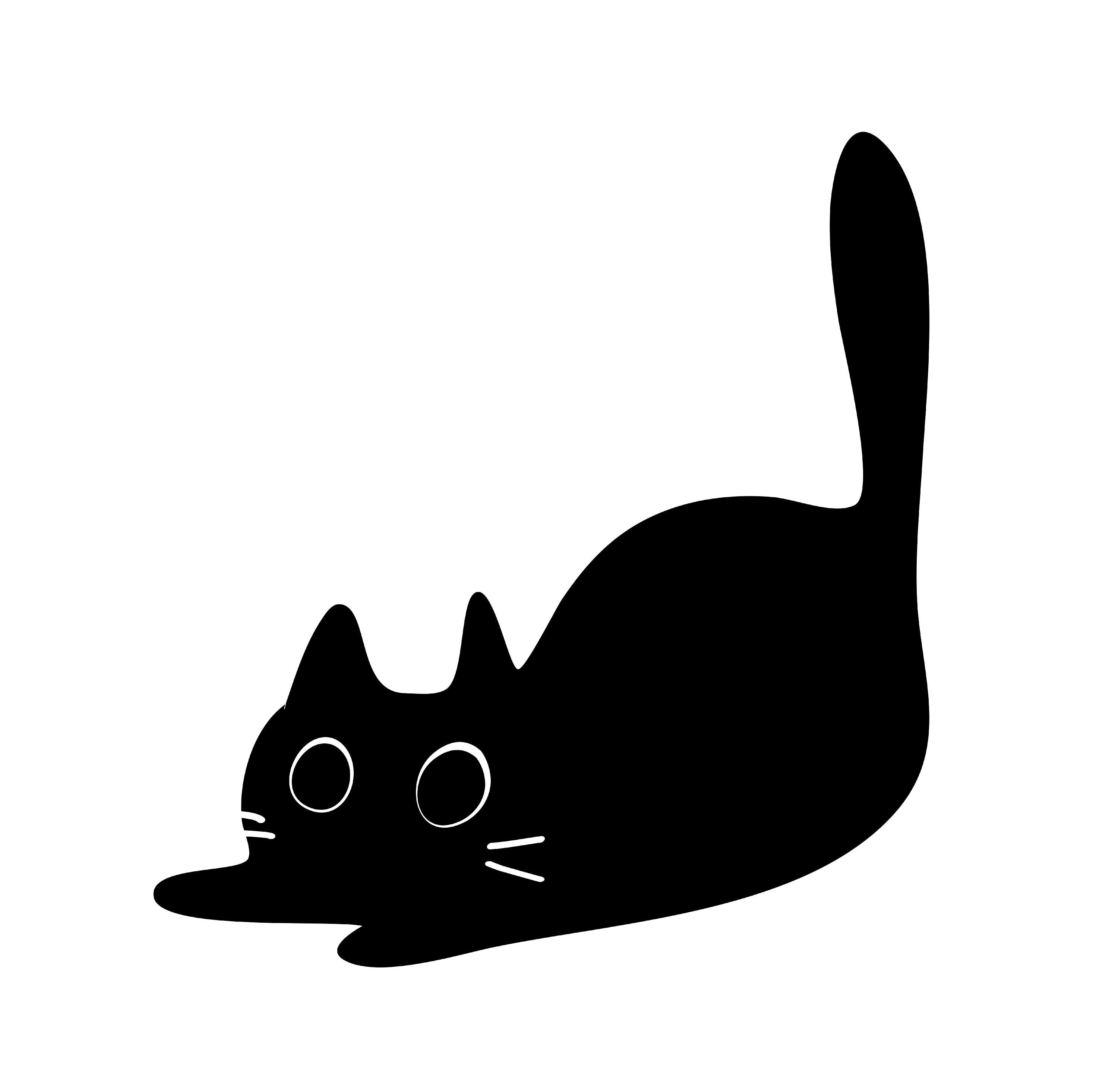 cute cat black background 0055