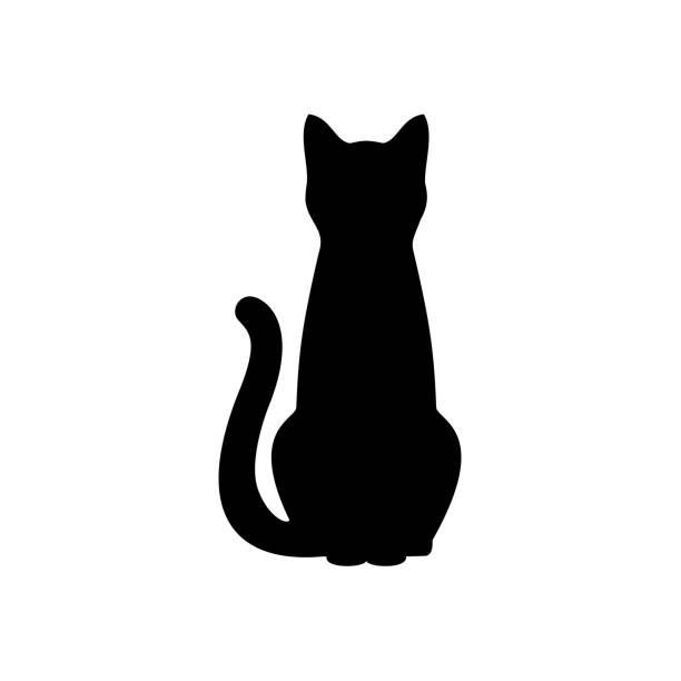 cute cat black background 0058