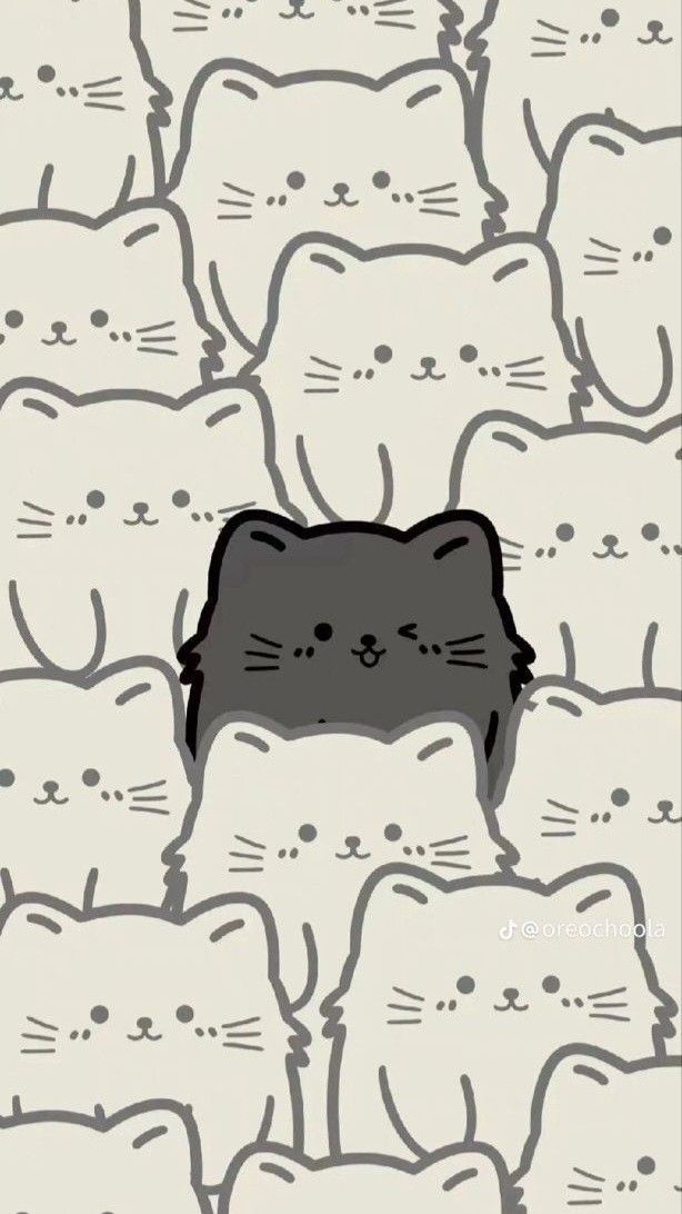 cute cat black background 0061