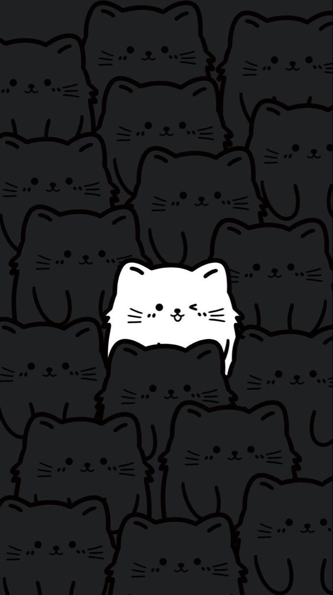 cute cat black background 0095