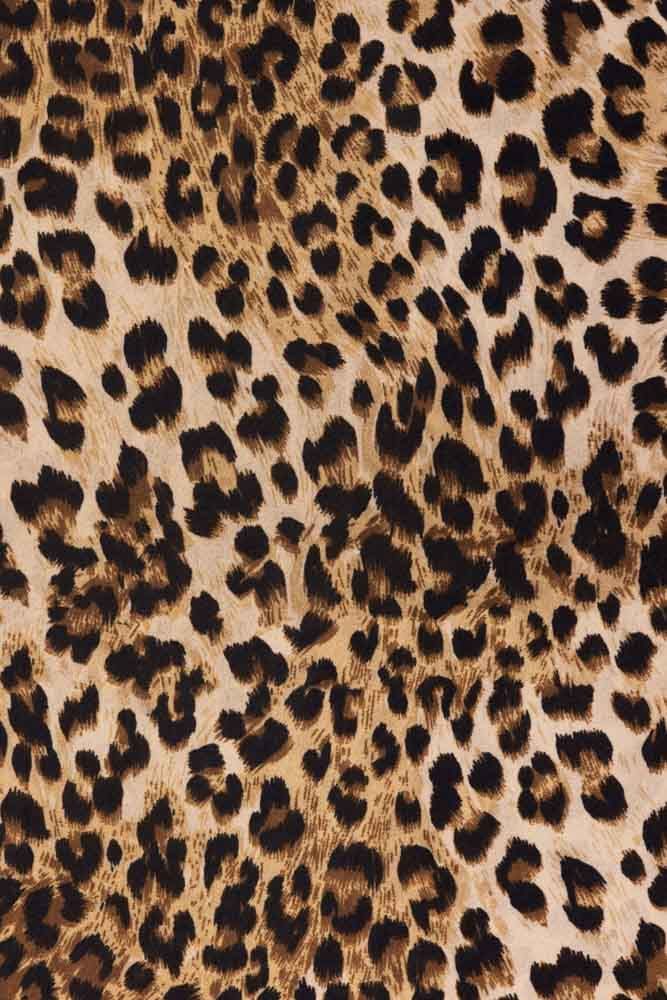 cute cheetah backgrounds 0012