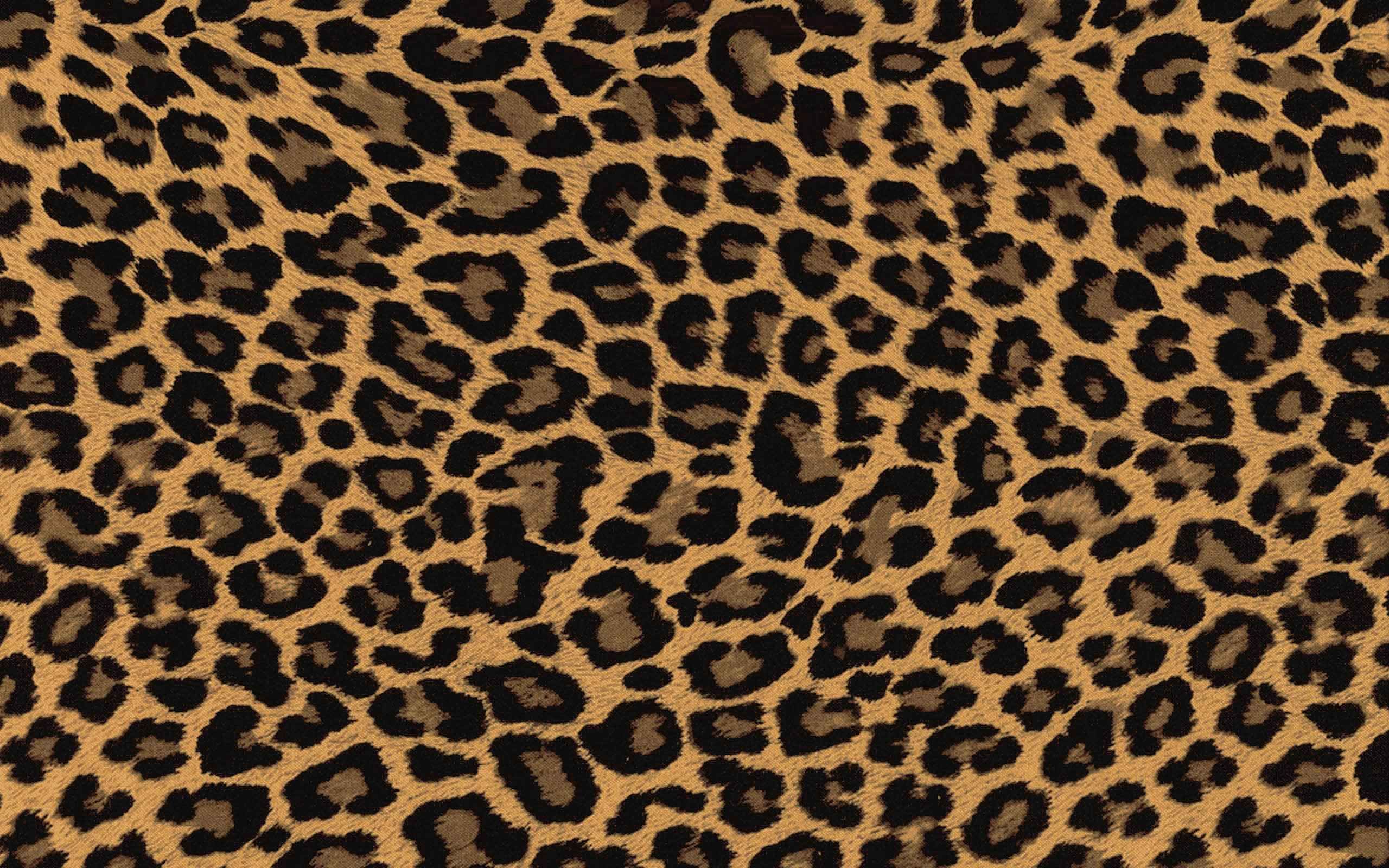 cute cheetah backgrounds 0014