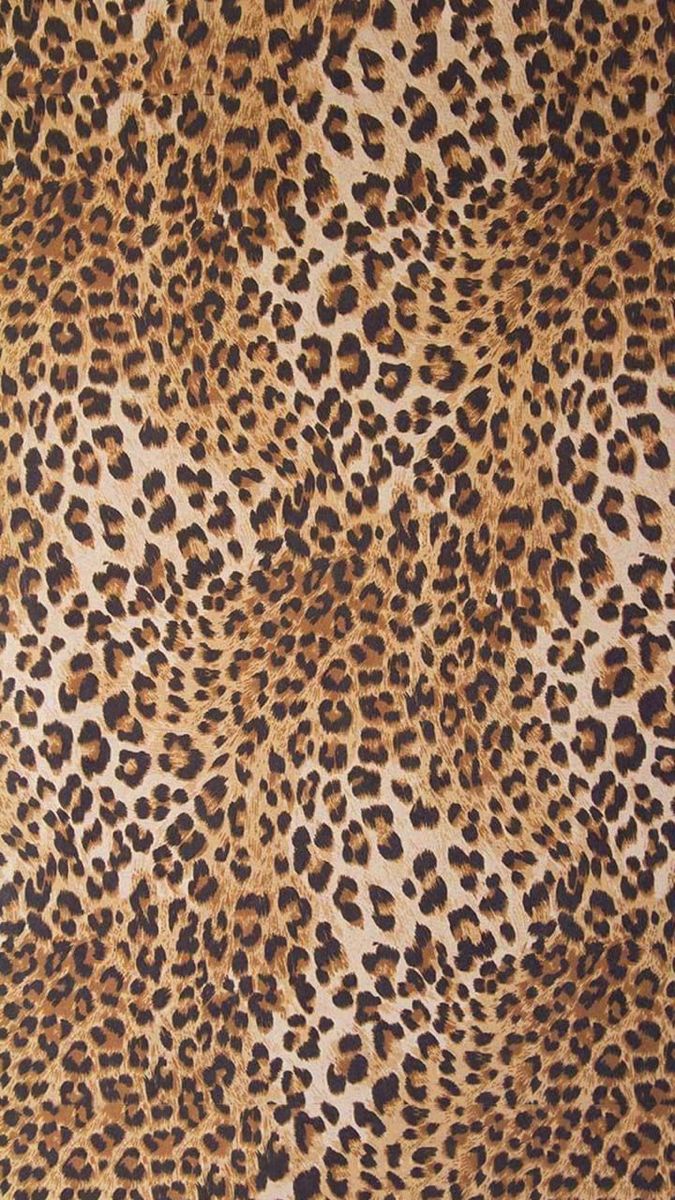 cute cheetah backgrounds 0019