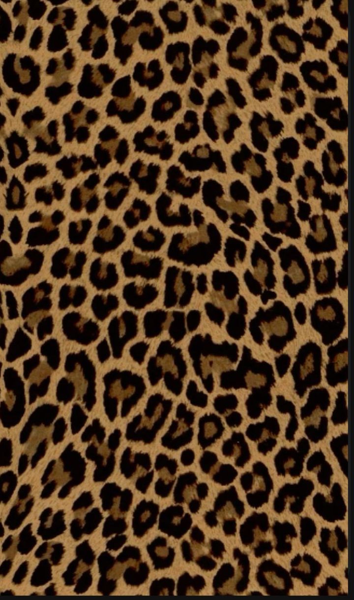 cute cheetah backgrounds 0022