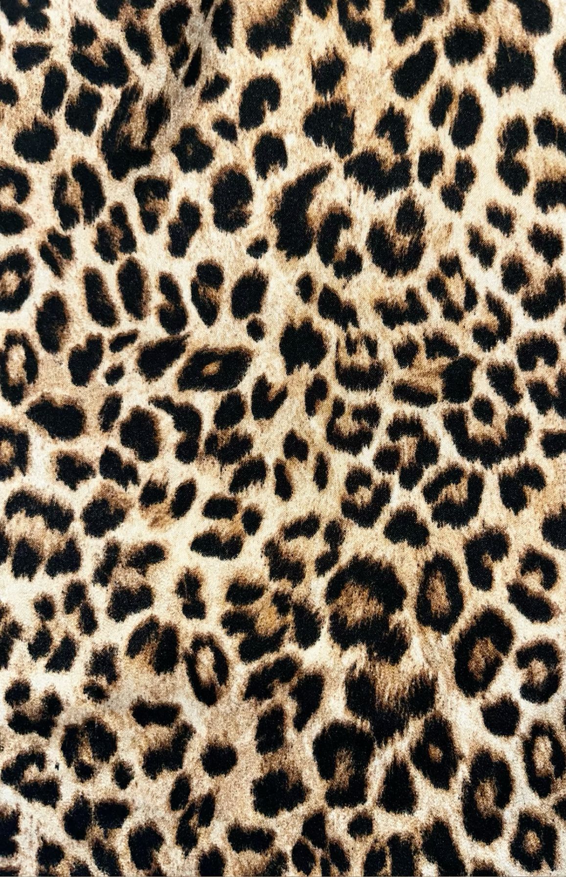 cute cheetah backgrounds 0024