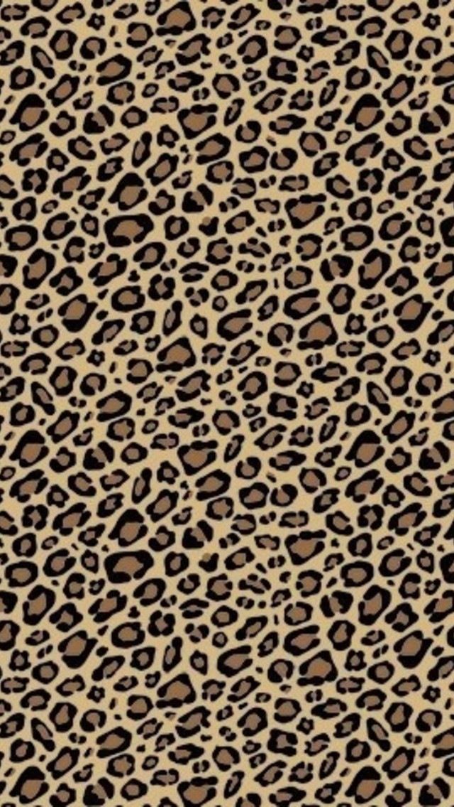 cute cheetah backgrounds 0025