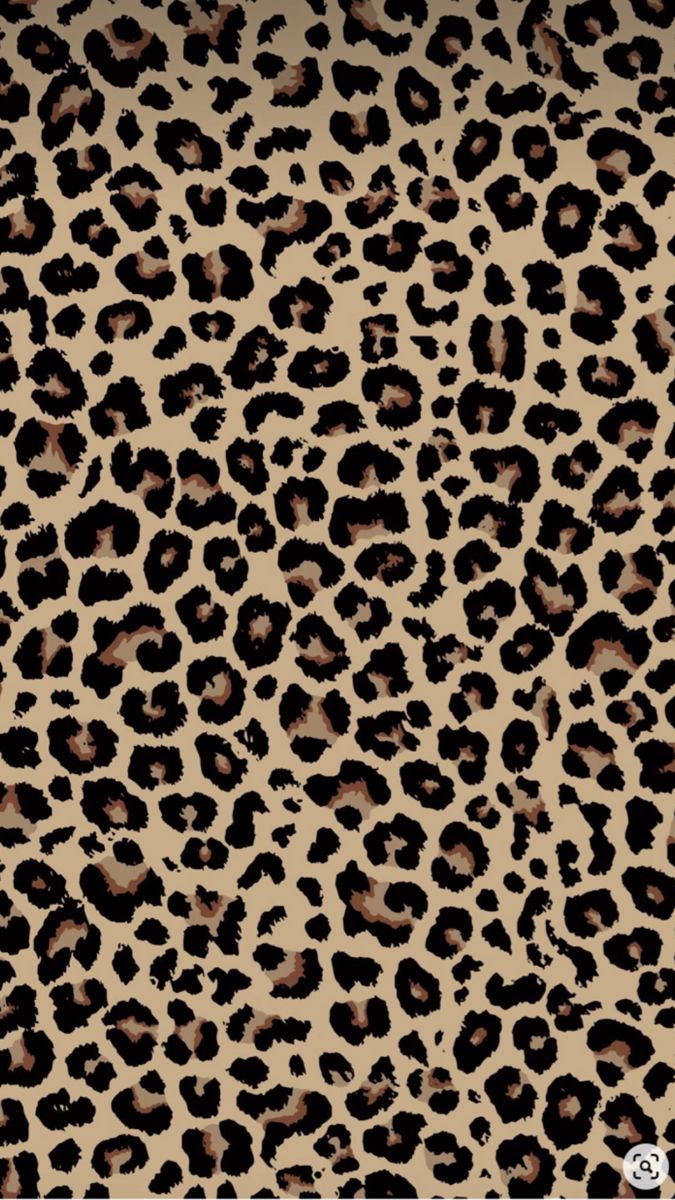 cute cheetah backgrounds 0029