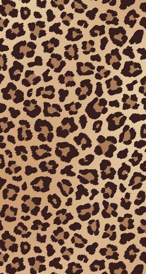 cute cheetah backgrounds 0035