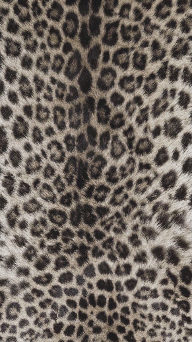 cute cheetah backgrounds 0038