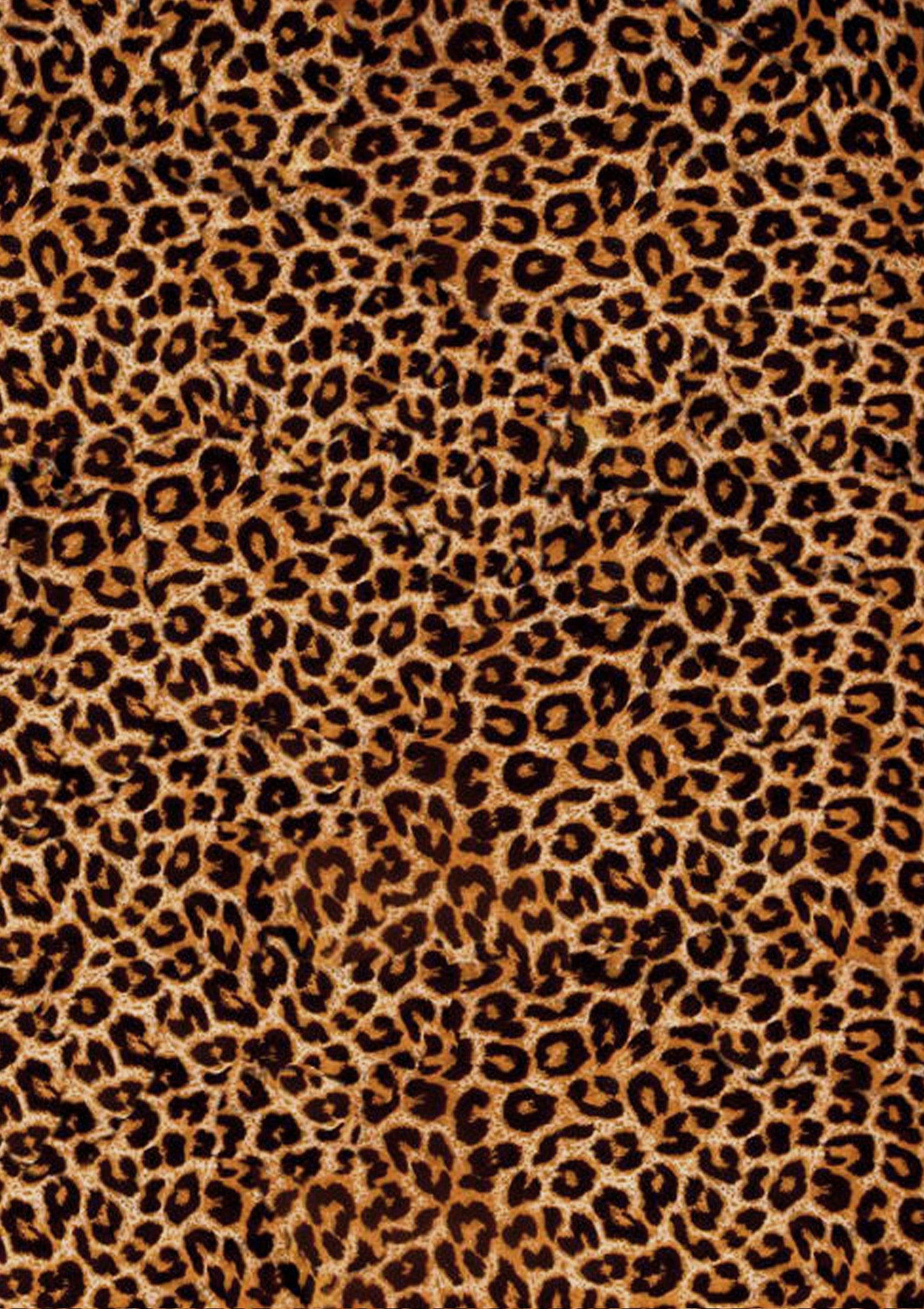 cute cheetah backgrounds 0040