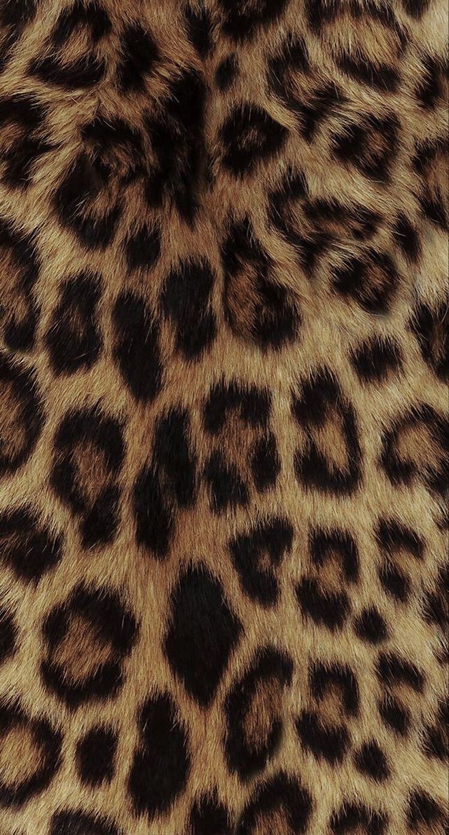 cute cheetah backgrounds 0043