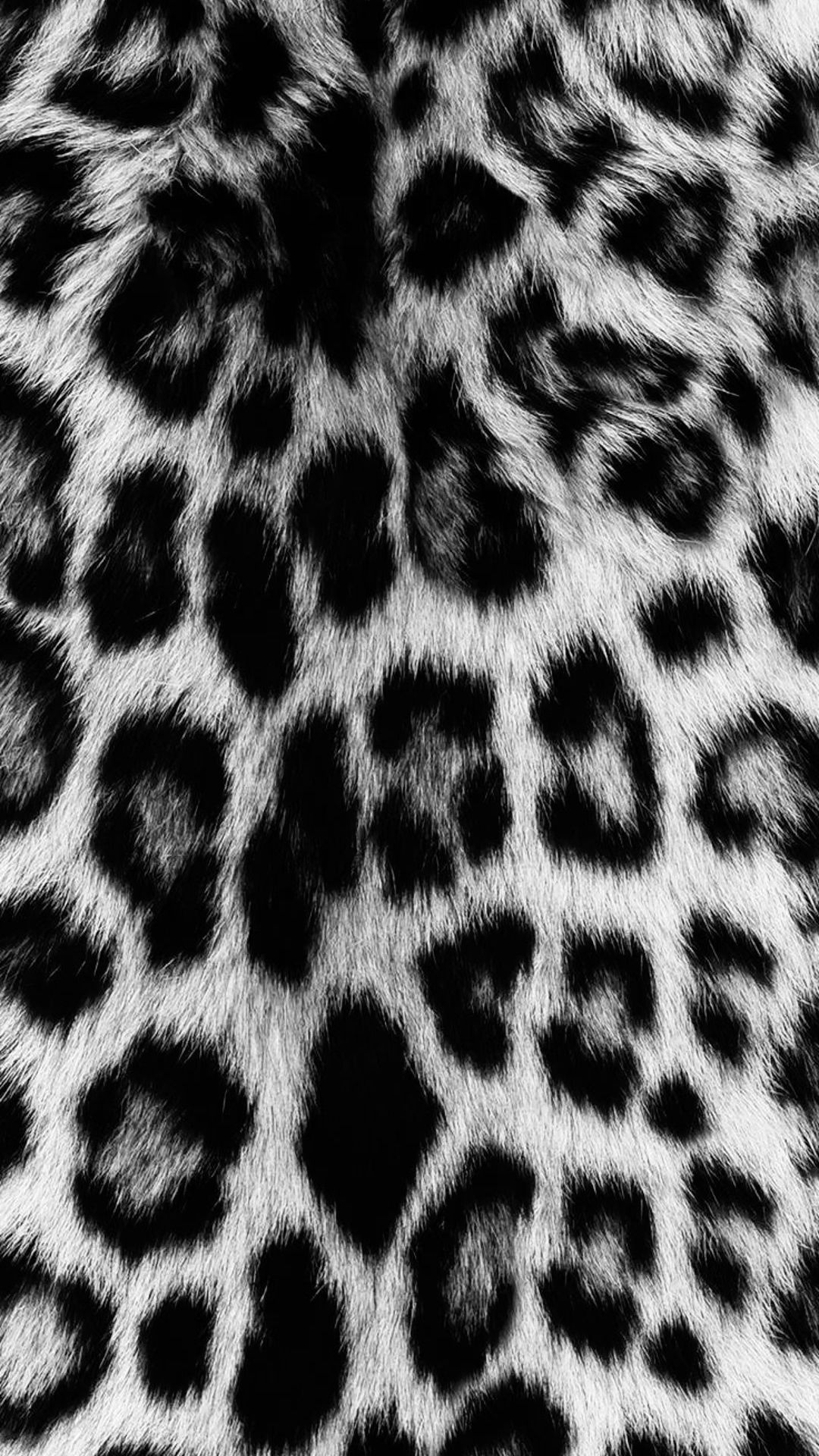 cute cheetah backgrounds 0044