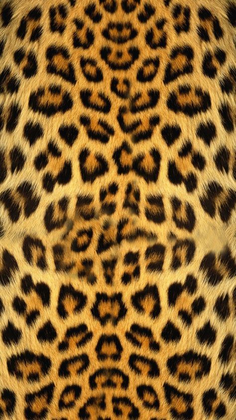 cute cheetah backgrounds 0045