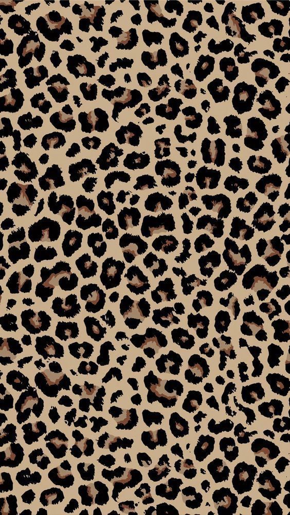 cute cheetah backgrounds 0046