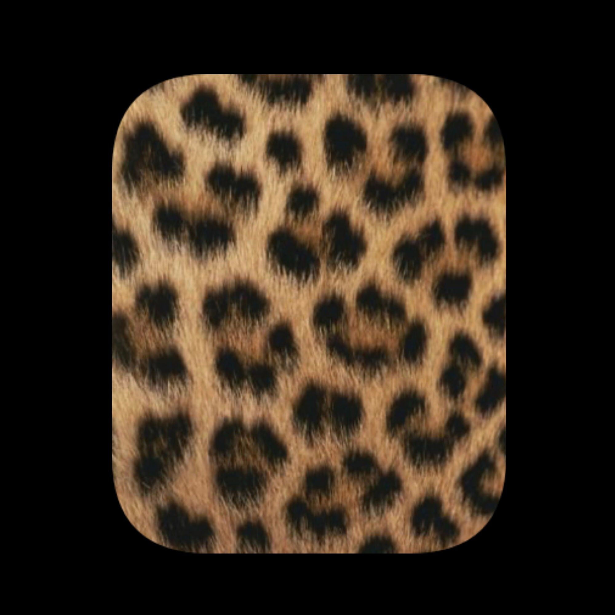 cute cheetah backgrounds 0051