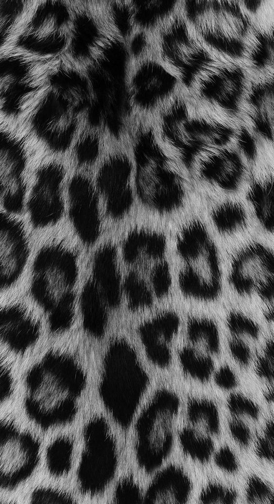 cute cheetah backgrounds 0056