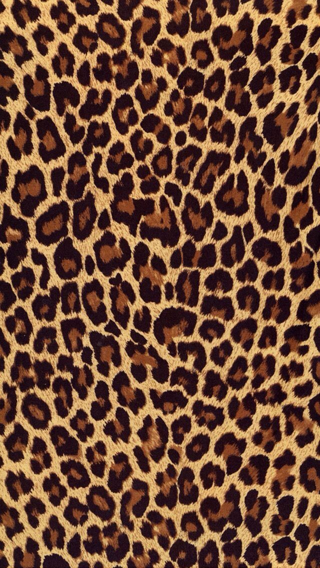 cute cheetah backgrounds 0058