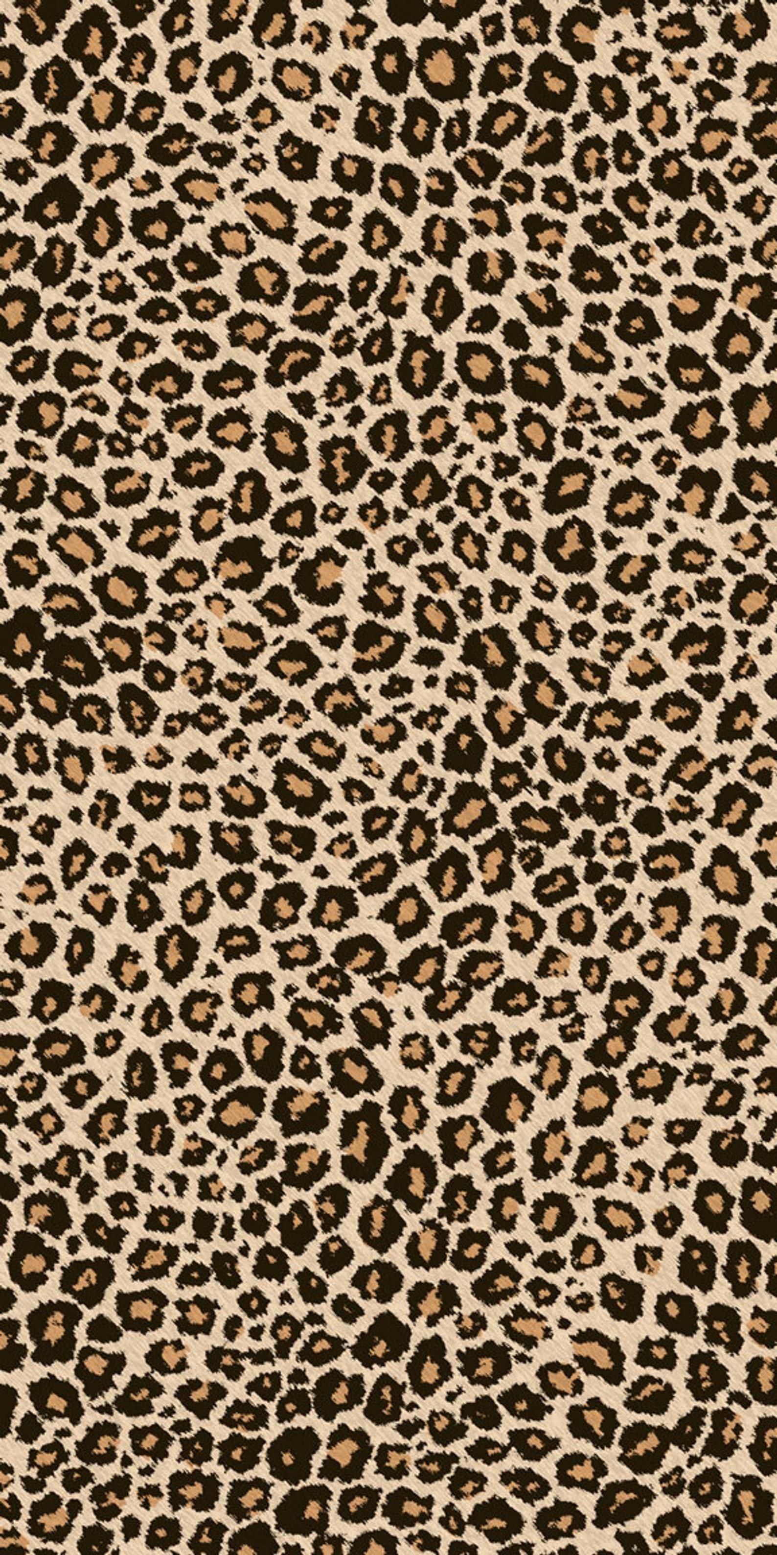 cute cheetah backgrounds 0061