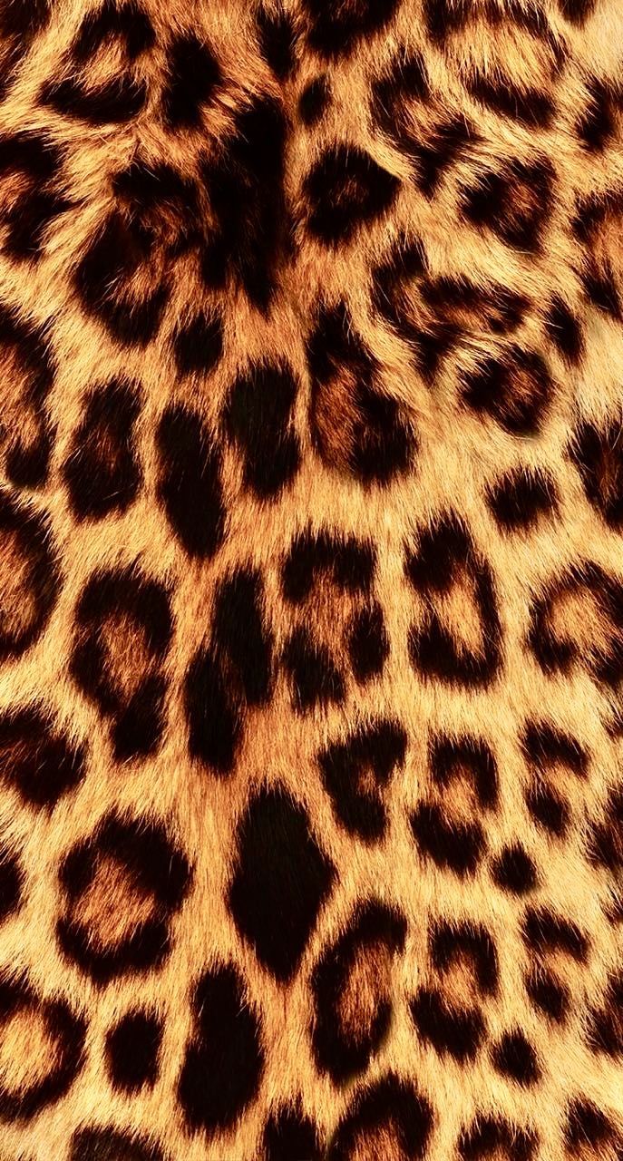 cute cheetah backgrounds 0062