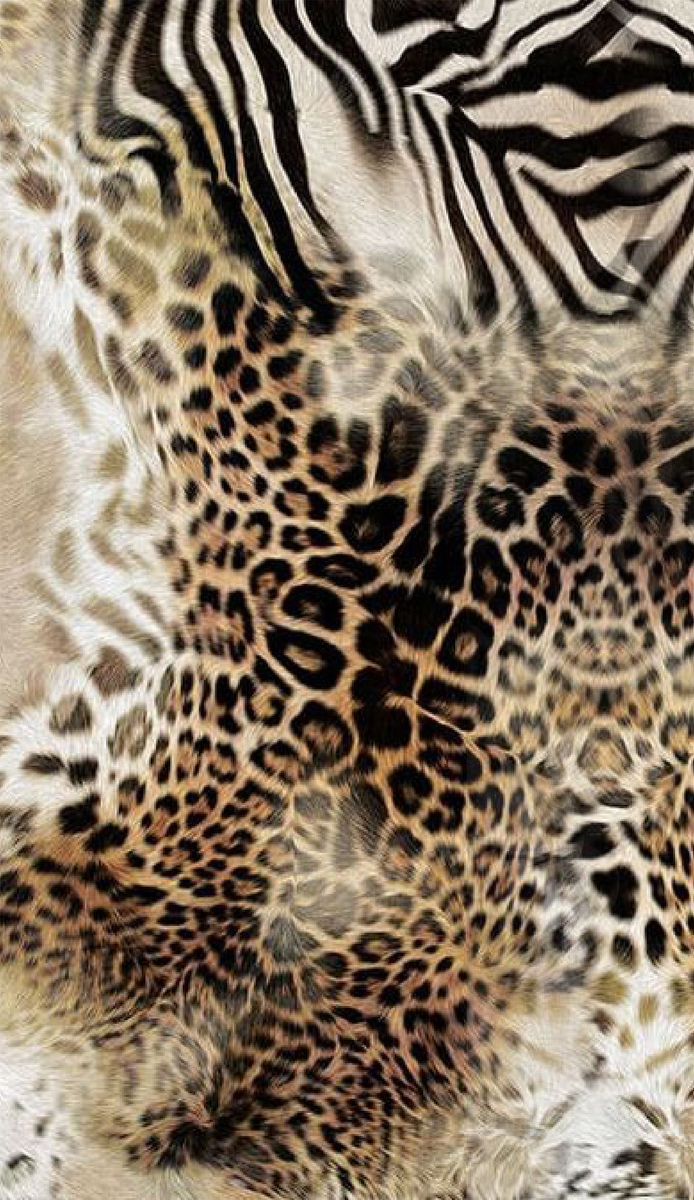 cute cheetah backgrounds 0063