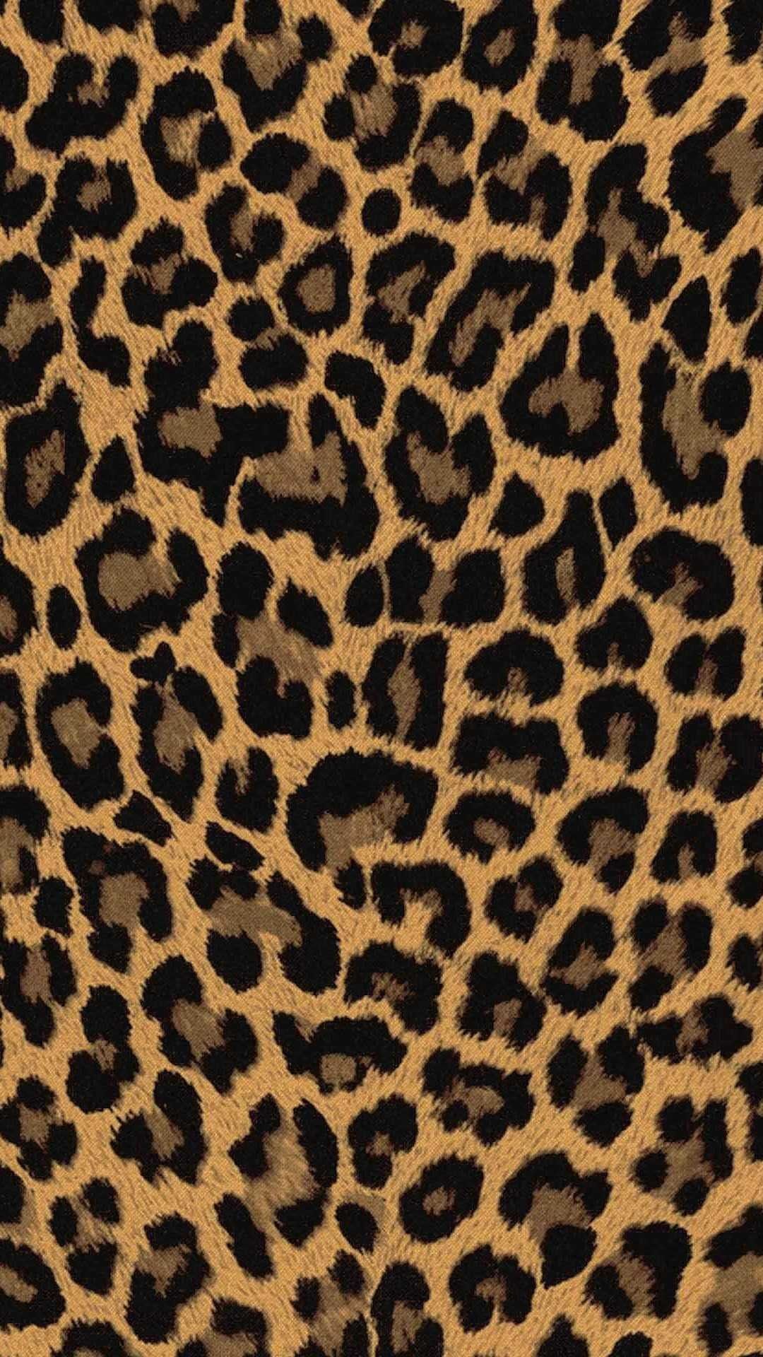 cute cheetah backgrounds 0078