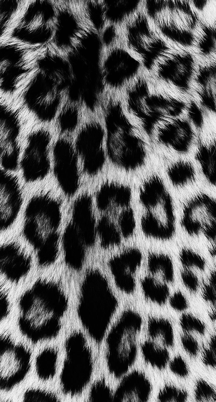 cute cheetah backgrounds 0082