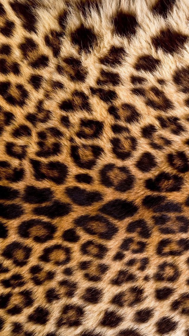 cute cheetah backgrounds 0083