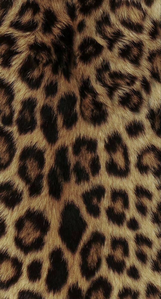 cute cheetah backgrounds 0086