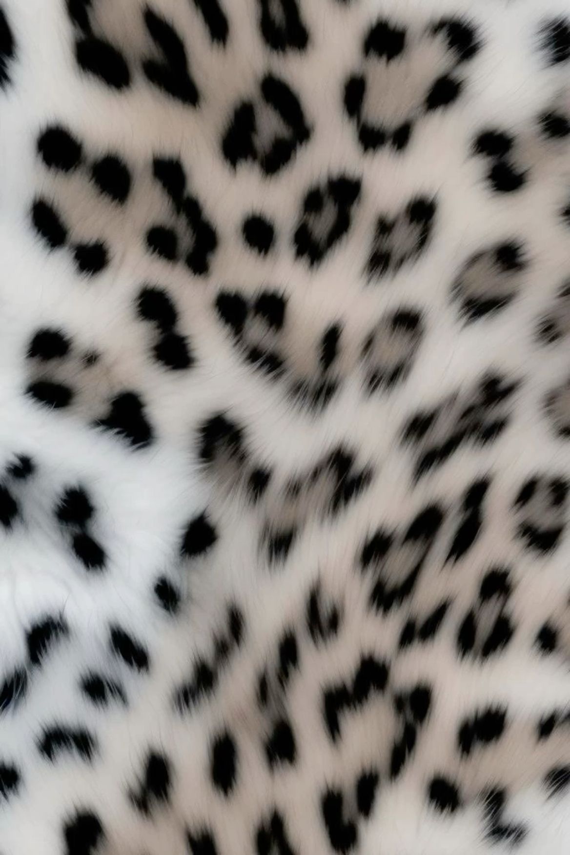 cute cheetah backgrounds 0090