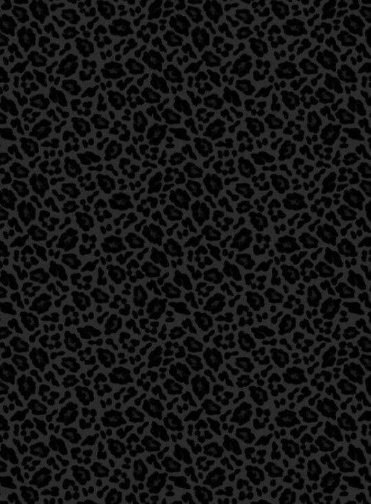 cute cheetah backgrounds 0098