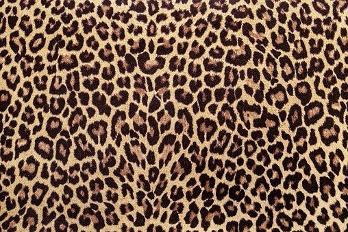 cute cheetah print backgrounds 0016