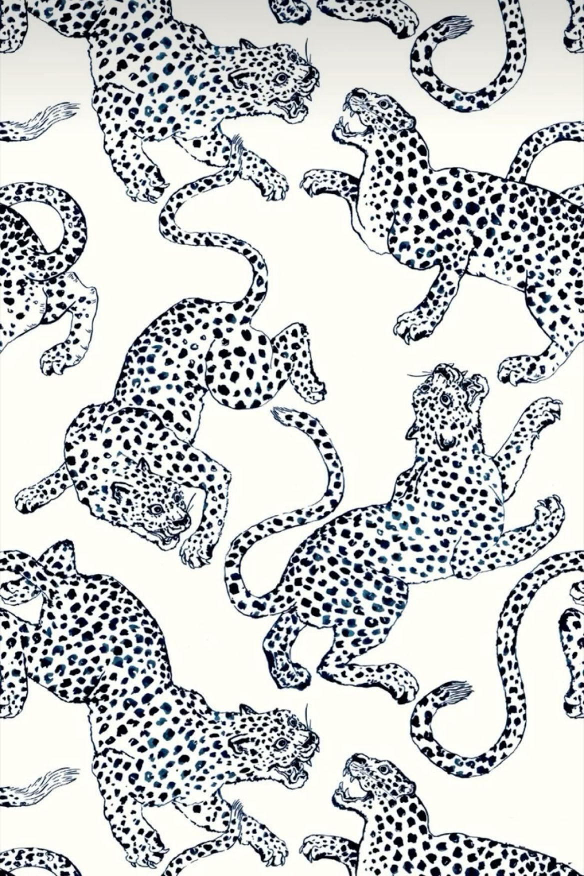 cute cheetah print backgrounds 0033