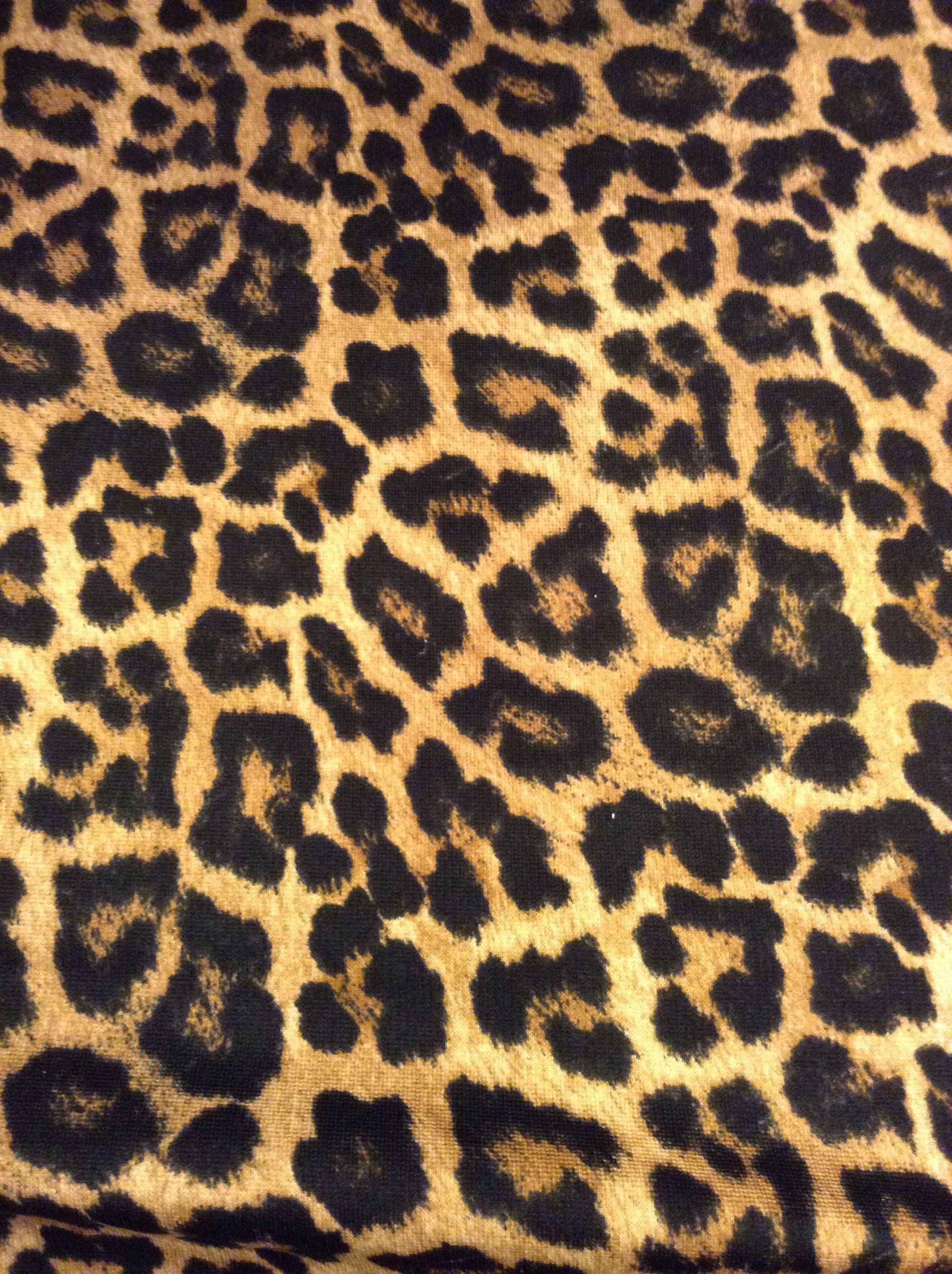 cute cheetah print backgrounds 0094