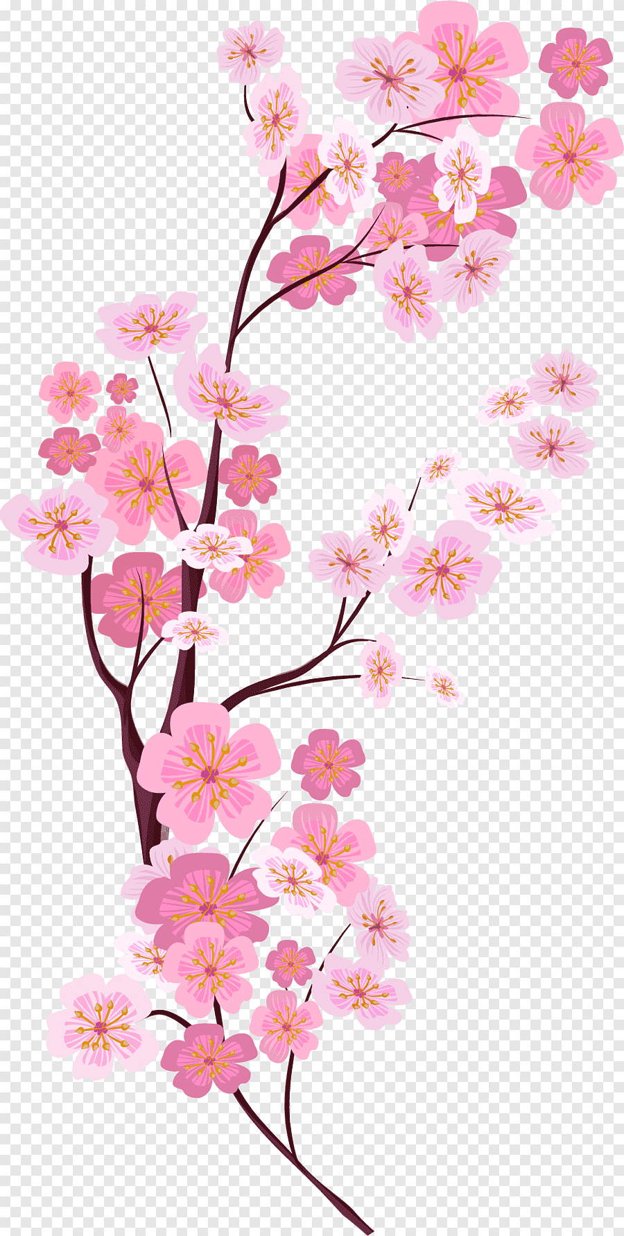 cute cherry blossom background 0016