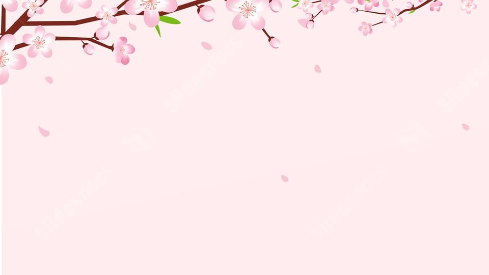 cute cherry blossom background 0018