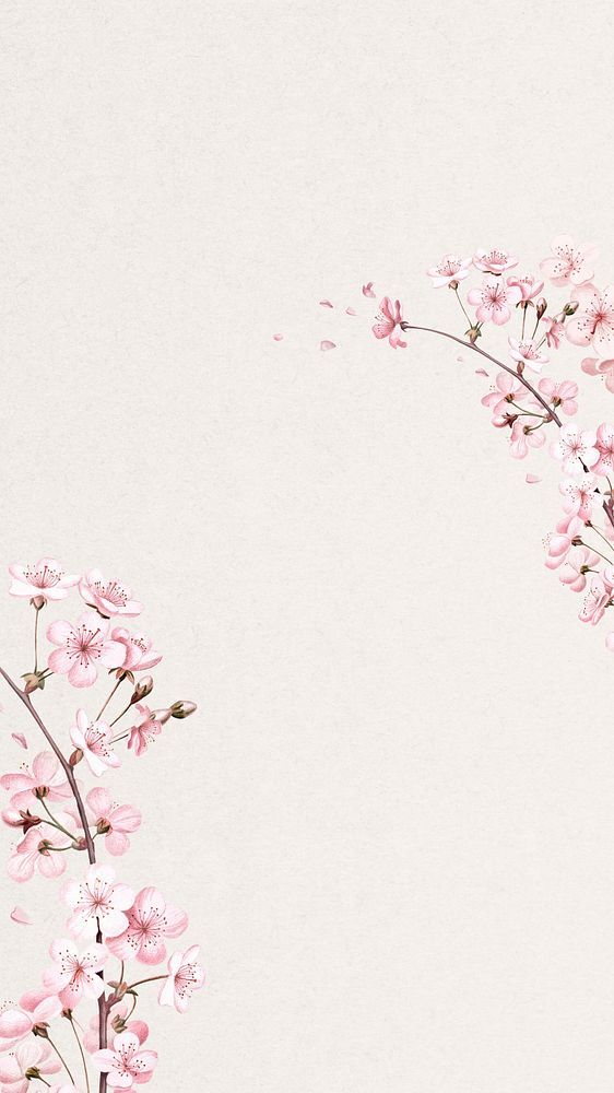 cute cherry blossom background 0022