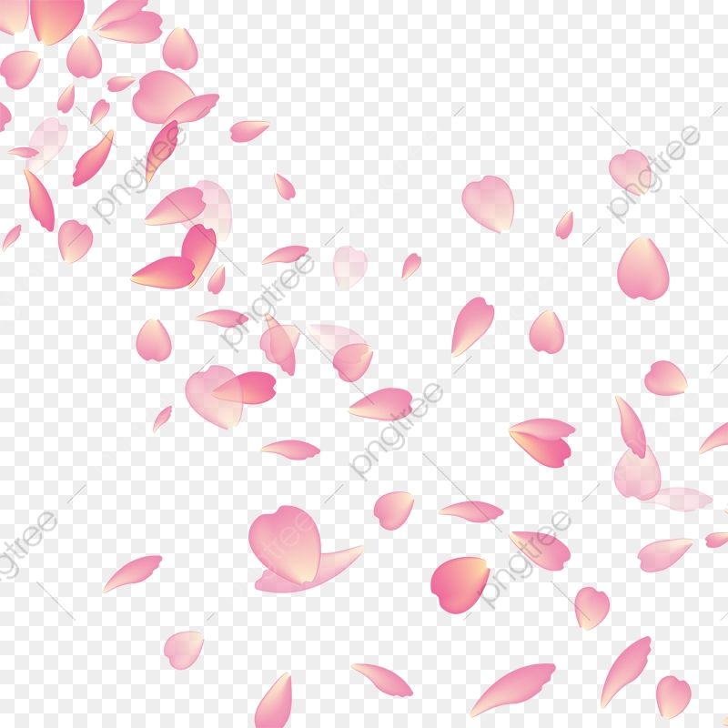 cute cherry blossom background 0025