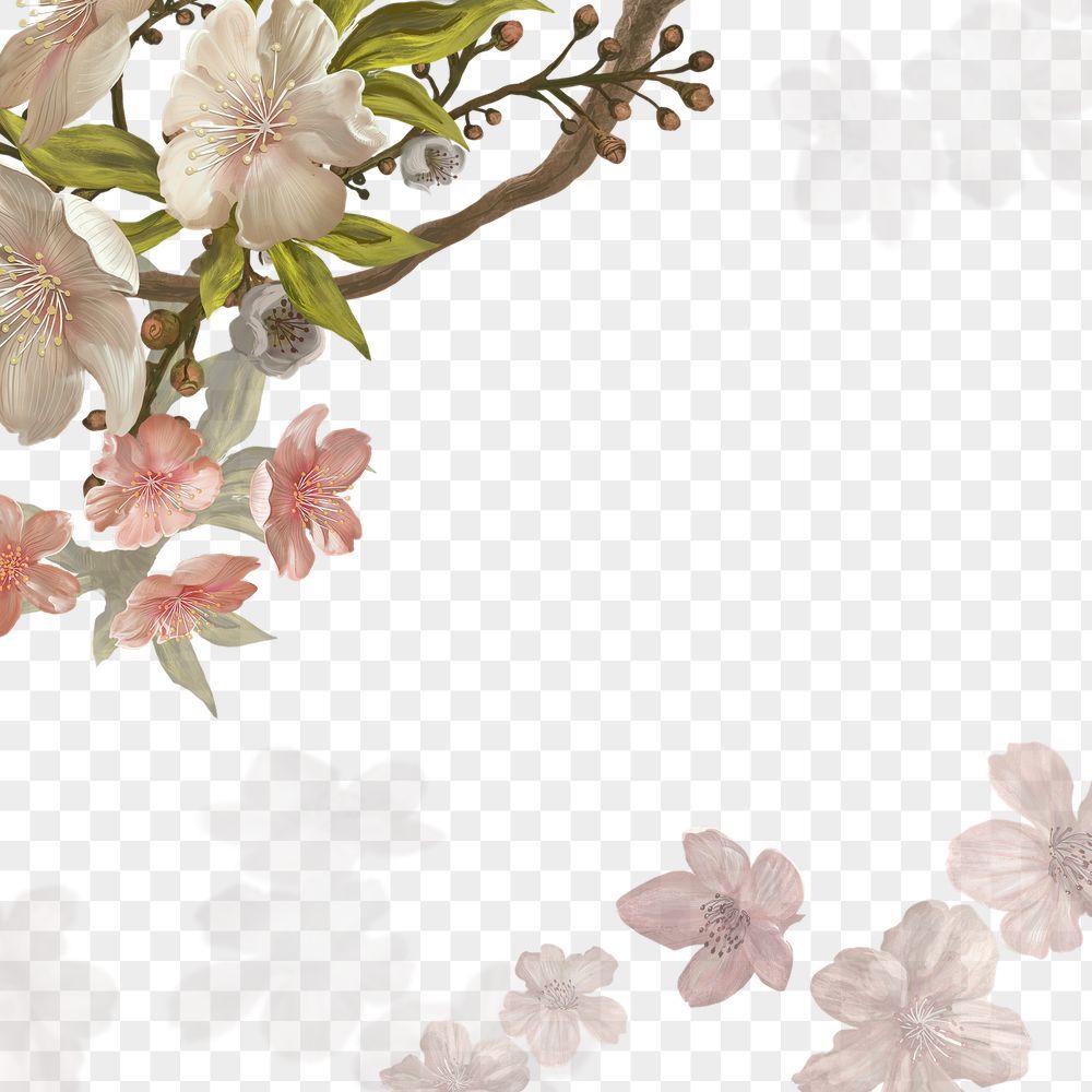 cute cherry blossom background 0029