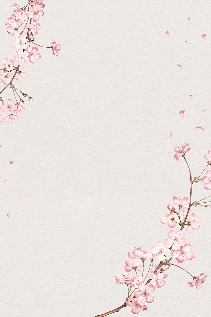 cute cherry blossom background 0035