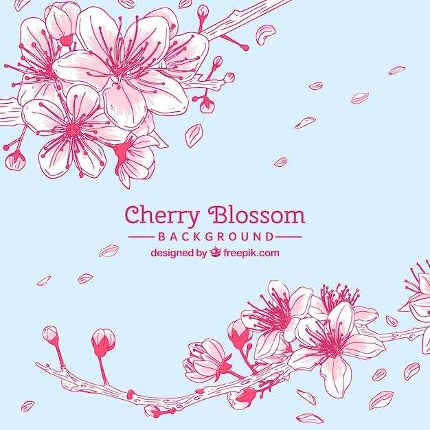 cute cherry blossom background 0039