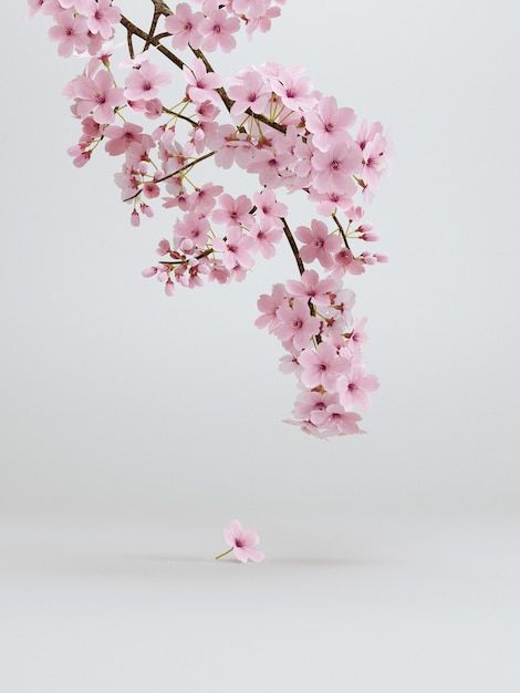 cute cherry blossom background 0040