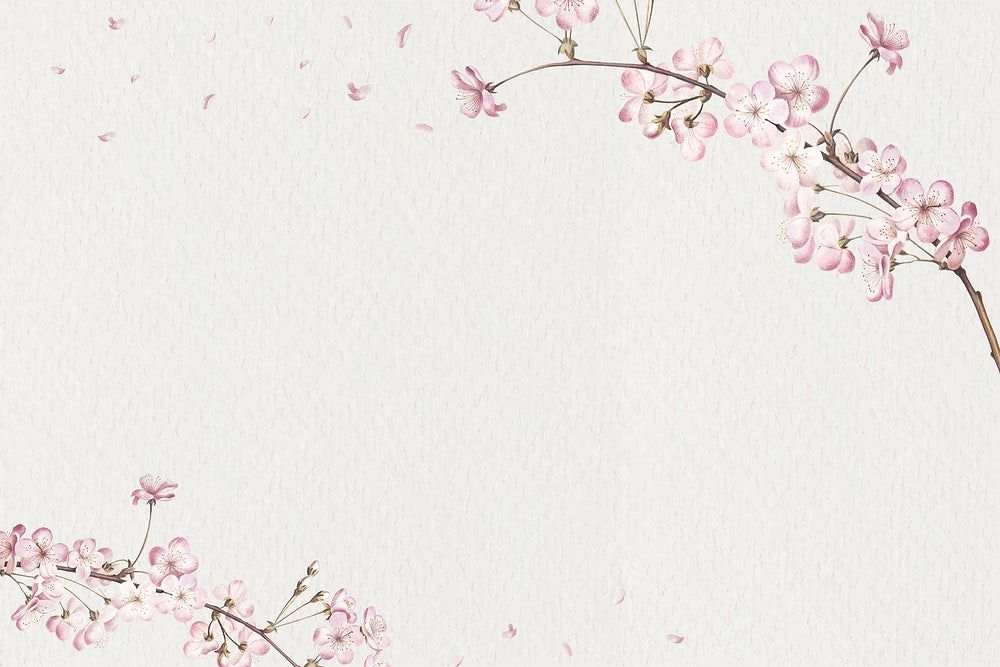 cute cherry blossom background 0045