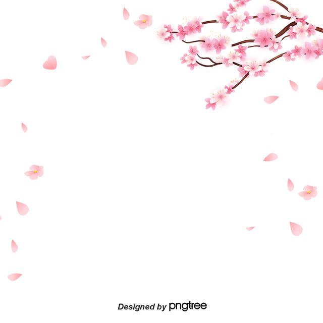 cute cherry blossom background 0048