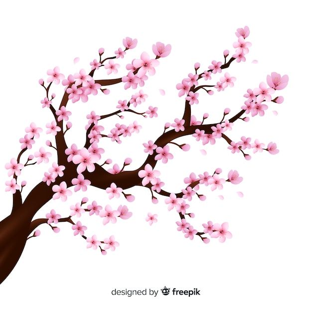 cute cherry blossom background 0049