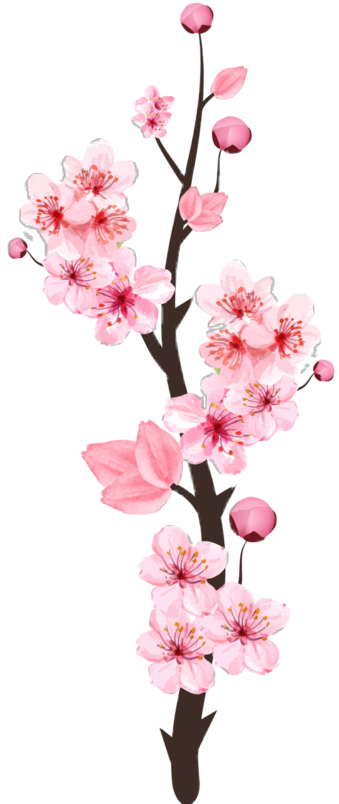 cute cherry blossom background 0057