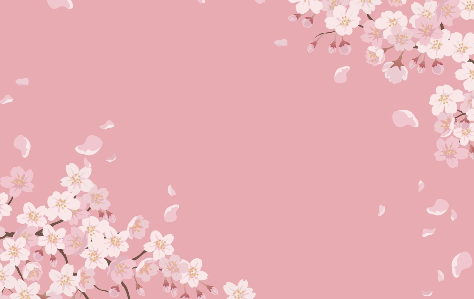 cute cherry blossom background 0060